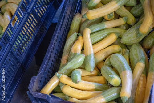 Closeup of green and yellow zephyr squash on display in bins at a summer farmer's market. photo