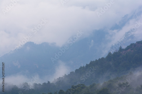 Mountains after rain. Water evaporating off the forest. Forest covered by low clouds.