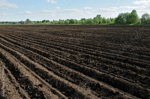 Furrows row pattern in a plowed field prepared for planting crops in spring. Horizontal view in perspective