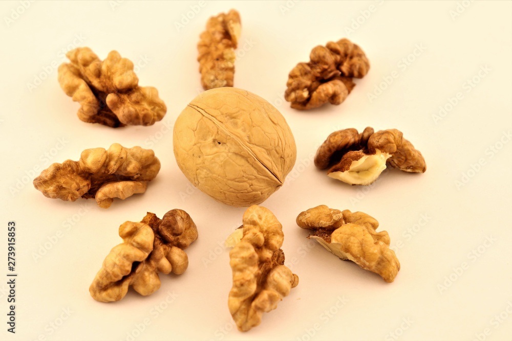 walnuts walnuts