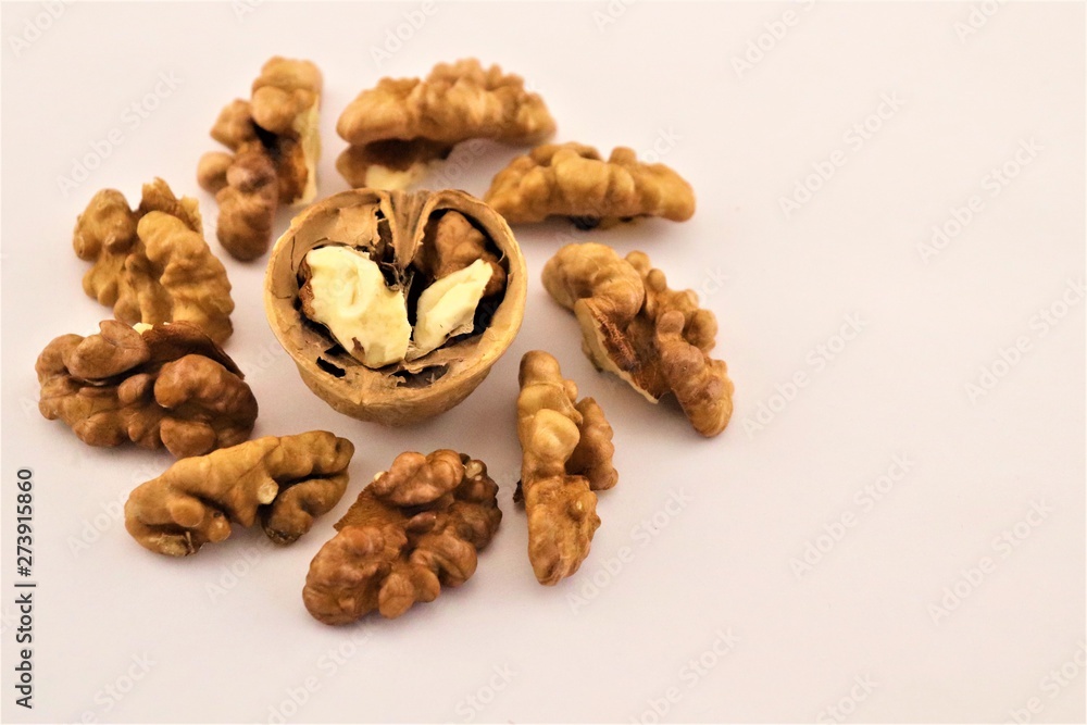 walnuts walnuts