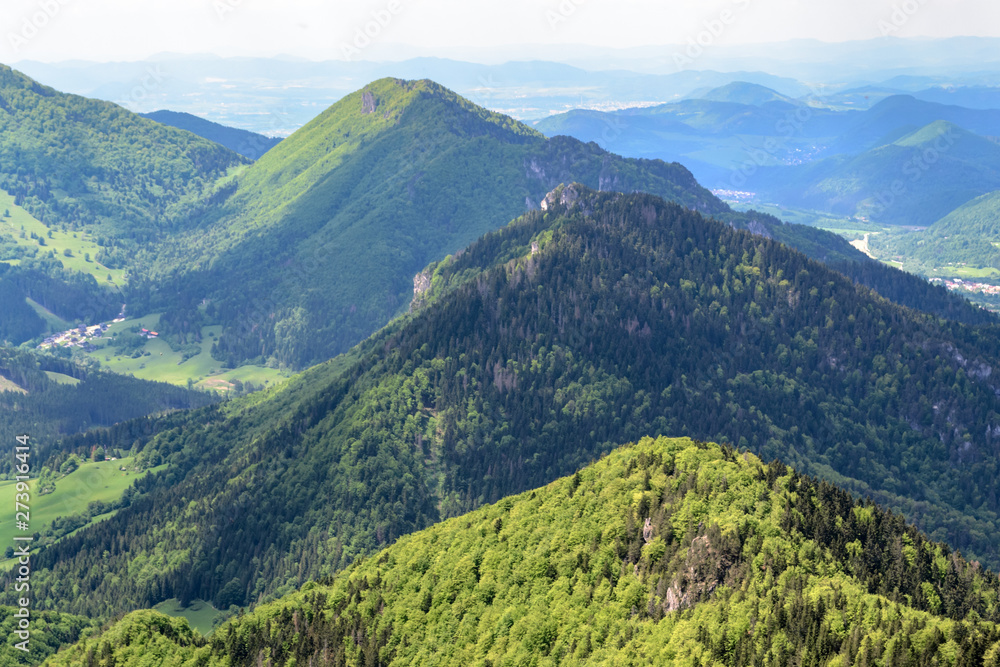 View from the Little Rozsutec hill