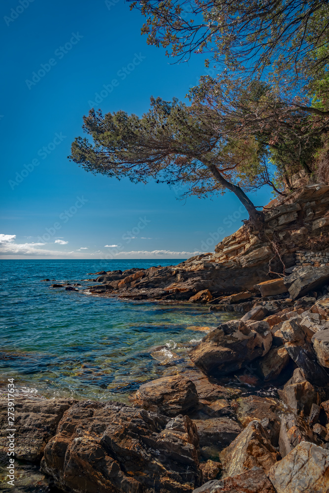 Rocky coastline and trees at San Michele di Pagana Rocky coastline and trees at San Michele di Pagana