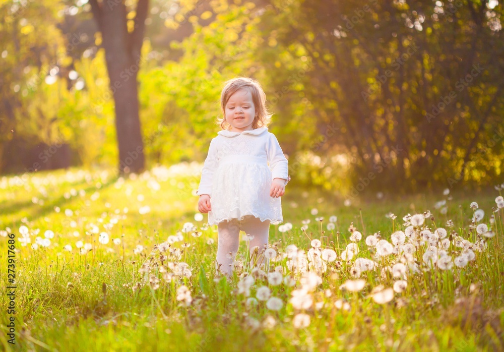girl, meadow with dandelions, fun girl, meadow with dandelions, fun