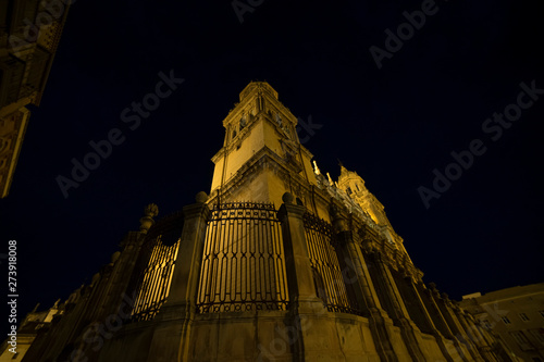 Renaissance, Jaen cathedral illuminated at night. Summery image with the empty streets of the city of Jaen in Spain photo