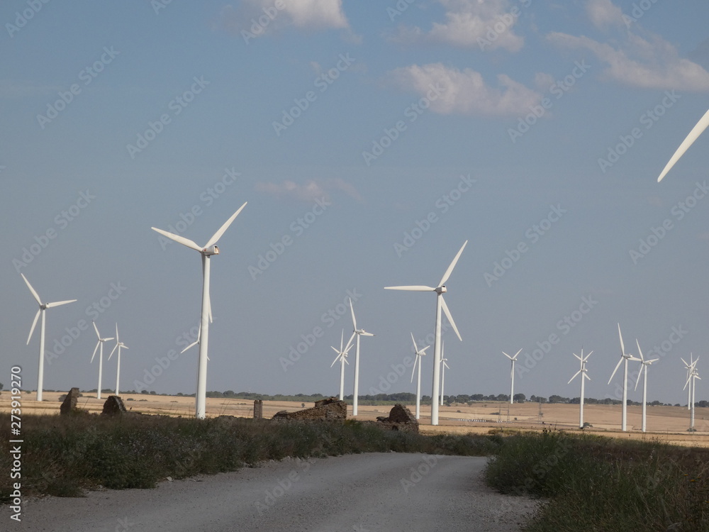 wind turbines in the desert
