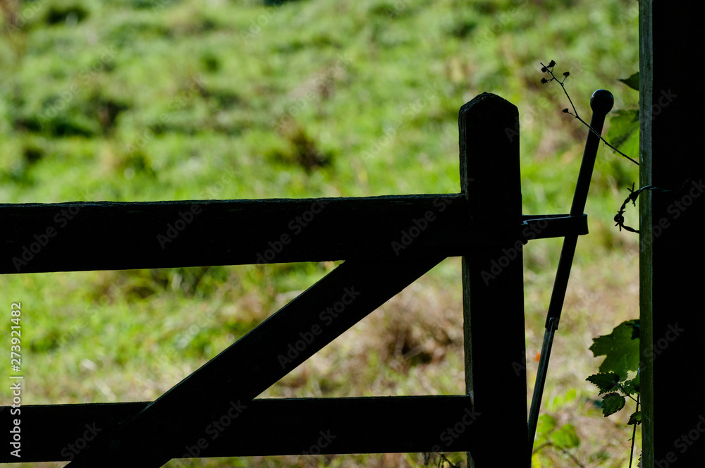 Fototapeta premium An open wooden gate with metal latch is silhouetted against a green grass background - Image