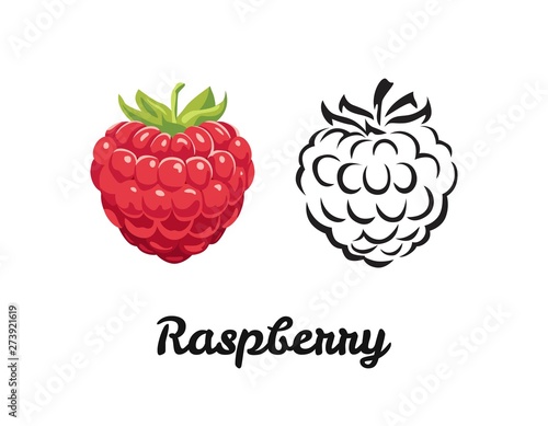 Raspberry icon set isolated on white background. Color illustration of red ripe berry and black and white contour image. Vector outline and silhouette.