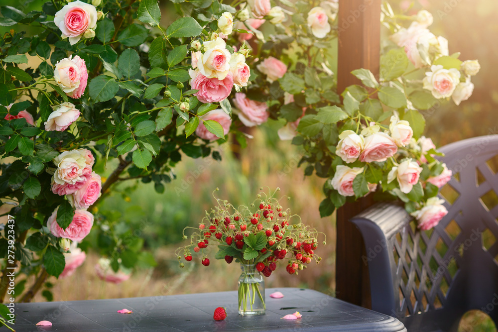 Obraz premium A beautiful garden with blooming roses, tasty wild strawberries and a chair.