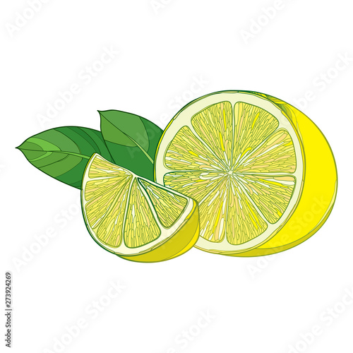 Outline yellow Lemon slice and ripe half fruit with green leaf isolated on white background.