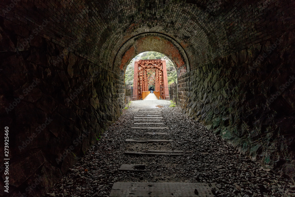 Fototapeta premium Gloomy abandonned railway tunnel