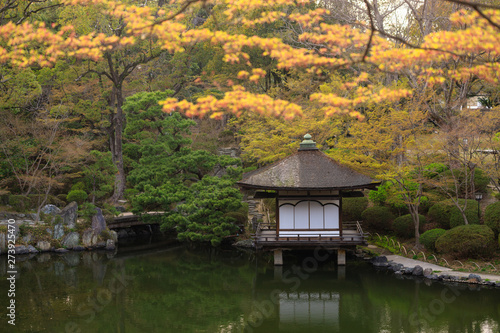 Japanese garden at srping photo