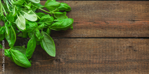 basil  flavored green ingredient used for cooking . food background. top view. copy space