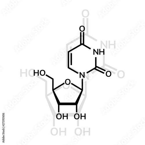Uridine chemical formula on white background
