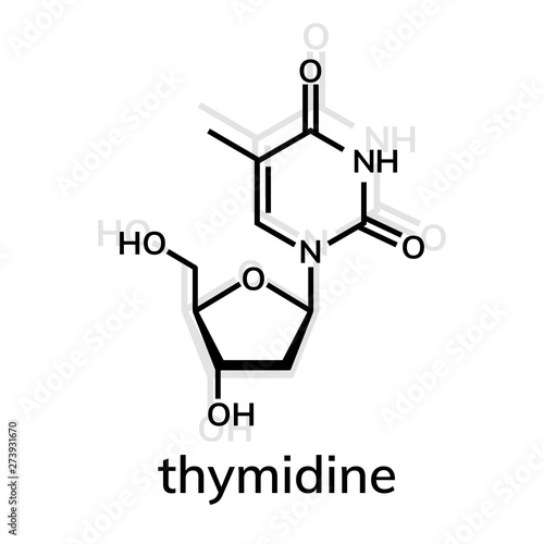 Thymidine chemical formula on whiite background