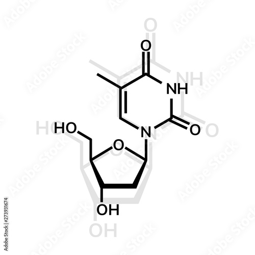 Thymidine chemical formula on whiite background