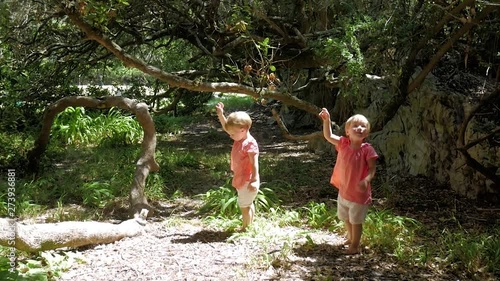 Twin girls enthralled by butterfly flying around them in a milkwood forest in Hermanus, South Africa photo