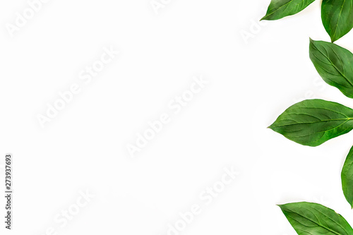 Frame of green leaves isolated on white background. Flat lay top view. Copy space.