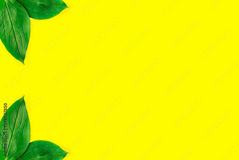 Frame of green leaves isolated on pastel yellow background. Minimal summer concept. Flat lay top view. Copy space. Frame of green leaves isolated on pastel yellow background. Minimal summer concept. Flat lay top view. Copy space.