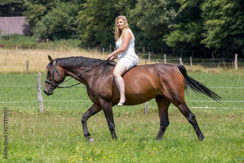 Schönes Pferd mit junger Besitzerin/Reiterin © Bittner KAUFBILD.de