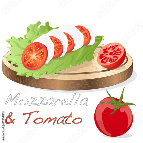 Vector illustration of mozzarella, cherry tomatoes - ingredients for caprese salad on plate. Isolated.