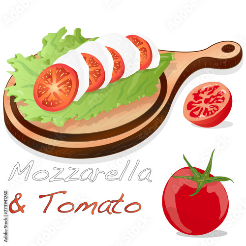 Vector illustration of mozzarella, cherry tomatoes - ingredients for caprese salad on plate. Isolated.