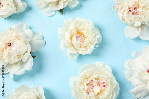 Beautiful peonies on color background  flat lay