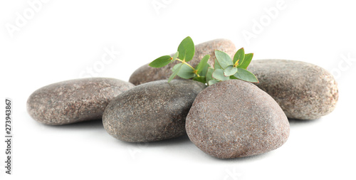 Spa stones with green branch isolated on white