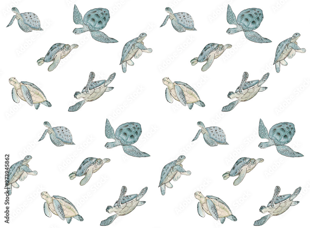 Seamless pattern with watercolor sea turtle on white background.Summer exotic print. Seamless pattern with watercolor sea turtle on white background.Summer exotic print.