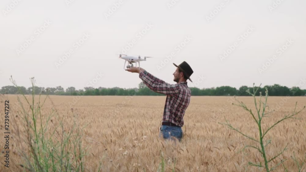 Farmer work with drone in summer wheat fields Farmer work with drone in summer wheat fields