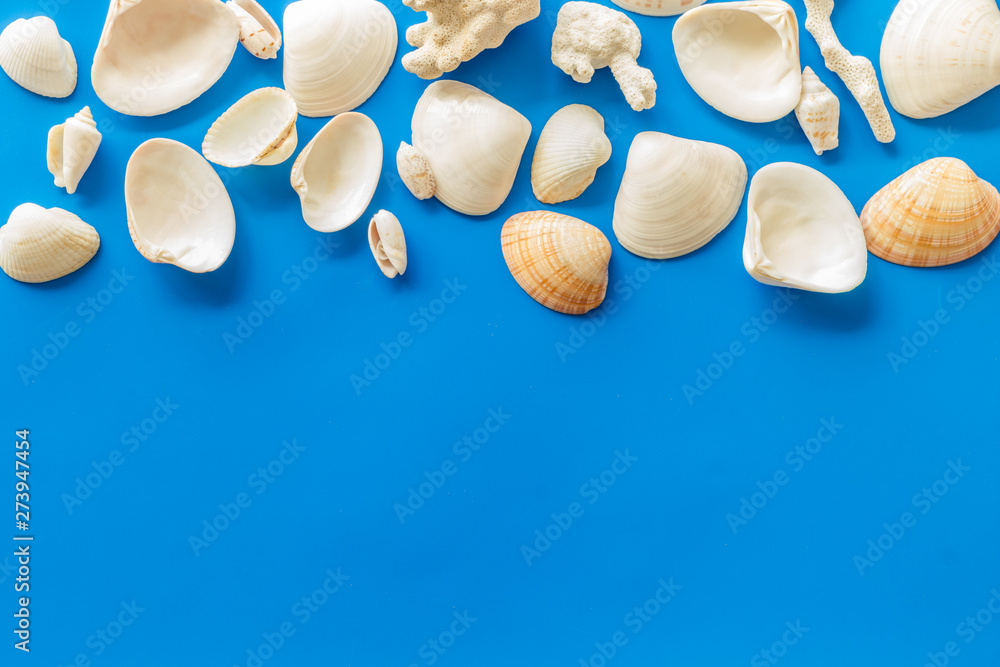 Summer at the sea design for blog with shells on blue background top view copy space Summer at the sea design for blog with shells on blue background top view copy space