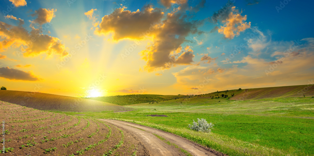 Dirt road on panoramic agricultural landscape with bright sunset - obrazy, fototapety, plakaty 