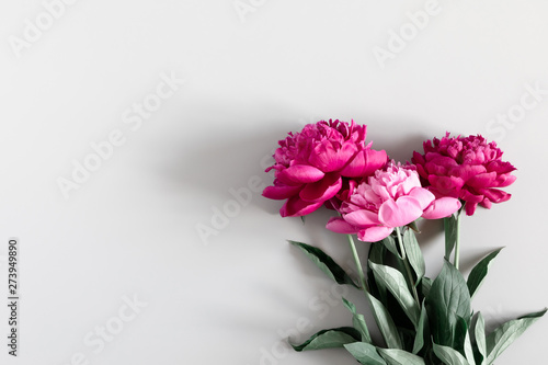 Fototapeta Naklejka Na Ścianę i Meble -  Minimal flowers composition. Pink peonies flowers on gray background. Flat lay, top view, copy space