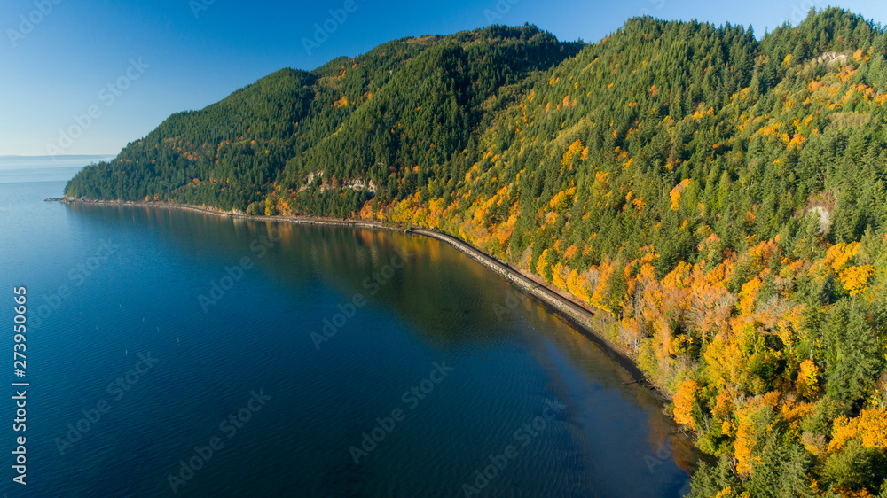 Forest Hills Along Ocean Beach Waterfront Samish Bay Bow Washington USA October Autumn Colors