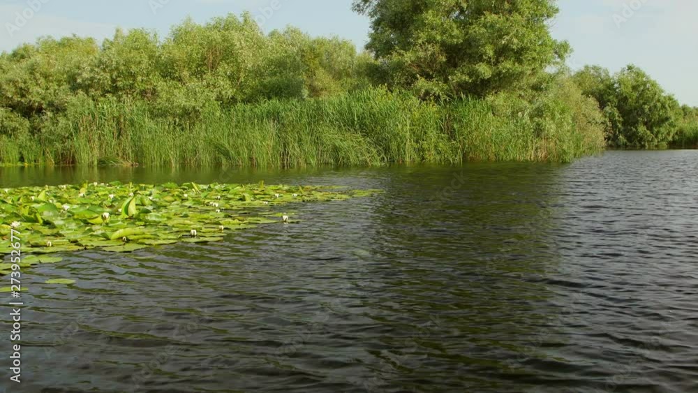 Danube Delta wetlands in motion Danube Delta wetlands in motion