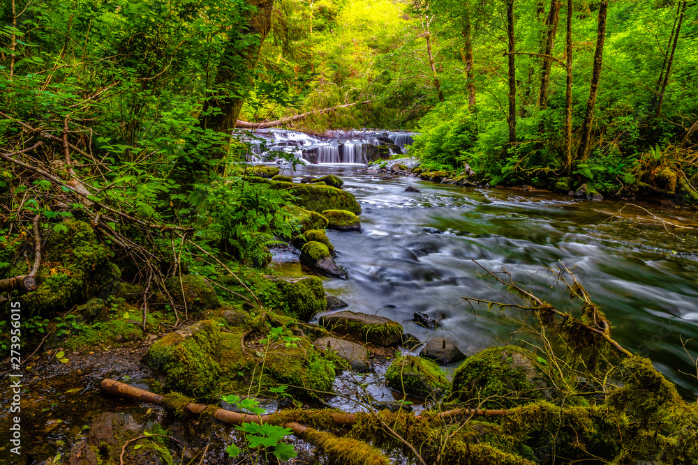 Beautiful Sunset Hike Up Sweet Creek Falls in Oregon Beautiful Sunset Hike Up Sweet Creek Falls in Oregon