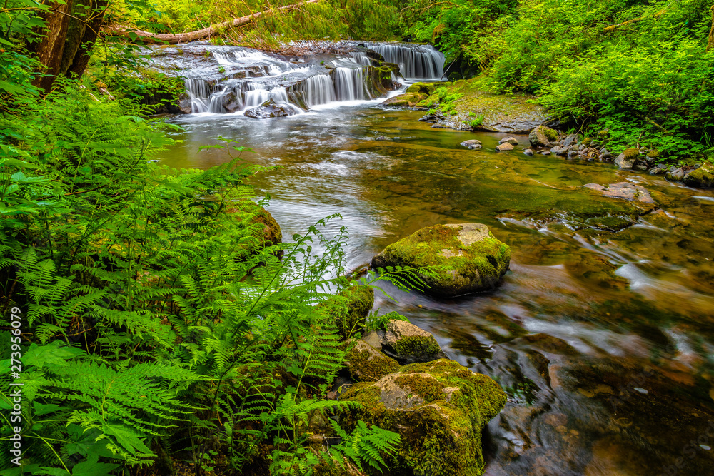 Beautiful Sunset Hike Up Sweet Creek Falls in Oregon Beautiful Sunset Hike Up Sweet Creek Falls in Oregon