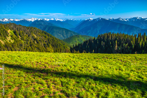 Beautiful Clear Skies Over the Mountain in Olympic National Park in Washington