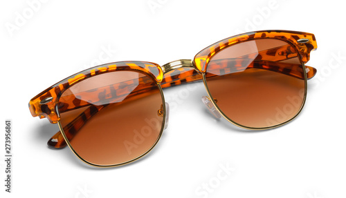 Folded Leopard Sun Glasses