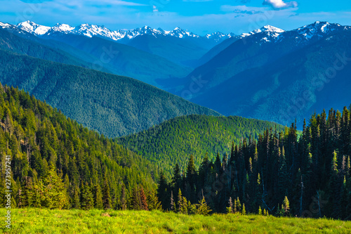 Beautiful Clear Skies Over the Mountain in Olympic National Park in Washington