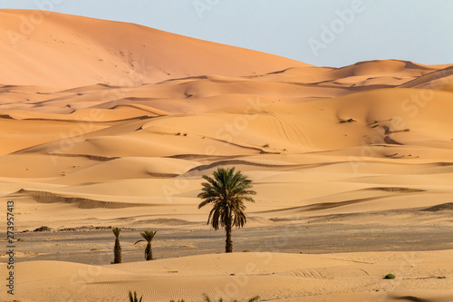 The desert around Mergouza in Morocco 