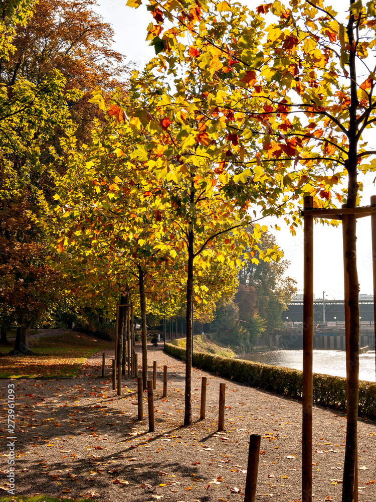 Autumn color of Platzspitz Park in Zurich, Switzerland