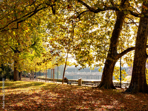 Obraz na płótnie Autumn color of Platzspitz Park in Zurich, Switzerland w salonie