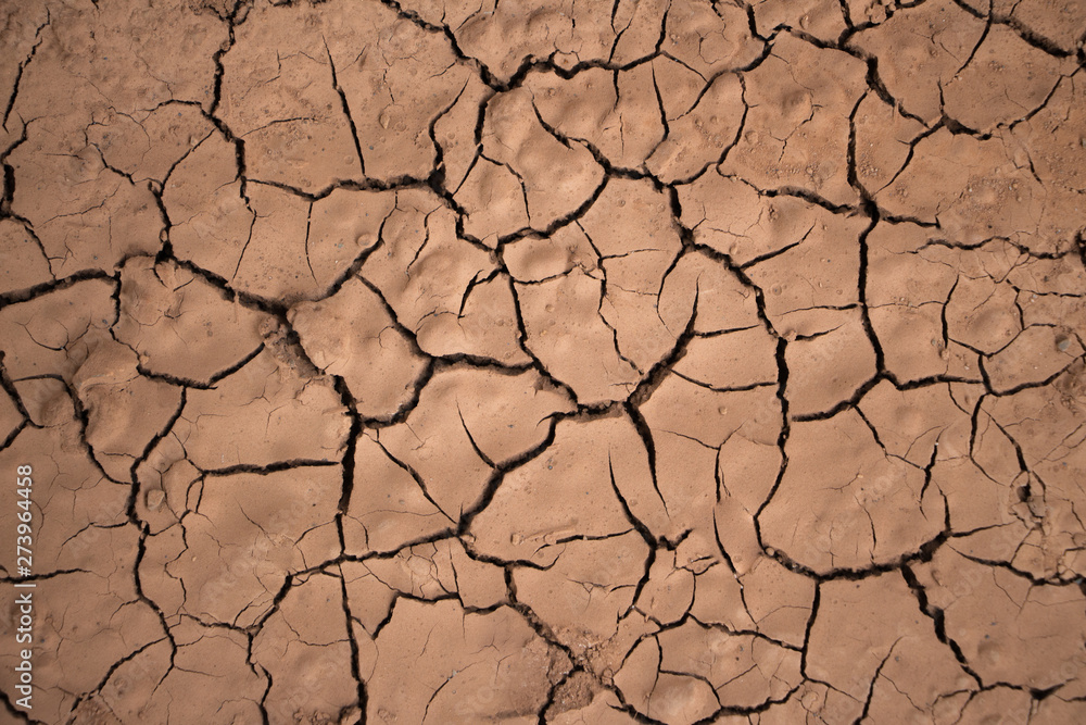 Global warming causes yellow soil to form turtle cracks