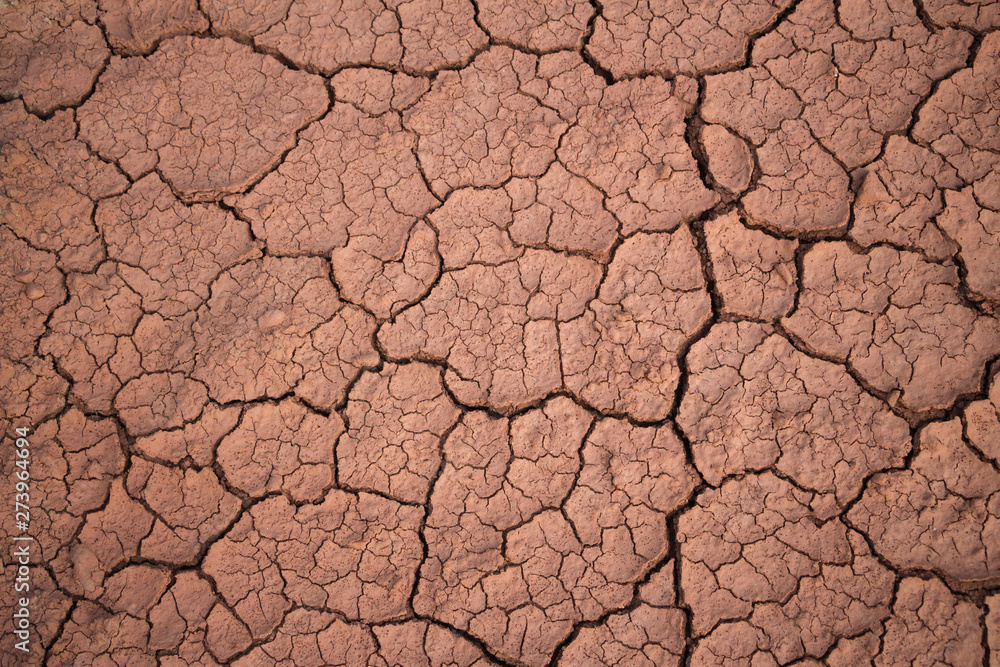 Fototapeta premium The red soil on the earth formed many cracks of the turtle due to drought.