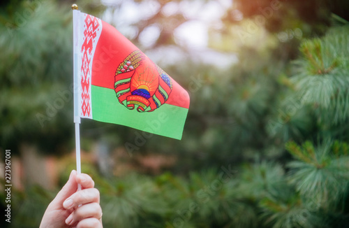 Belarussian flag in hand Independence Day, Flag Day concept © ungvar