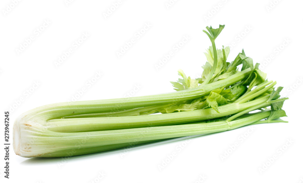 fresh celery isolated on white background fresh celery isolated on white background