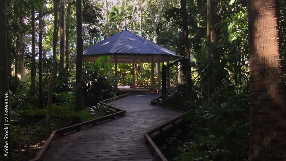 Tranquil gazebo on a rainforest walk boardwalk, in Queensland Australia