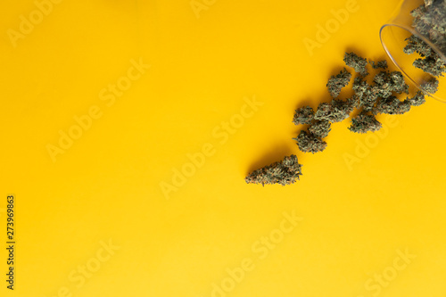 Cannabis buds on yellow background. Top view. CBD and THC on buds in cannabis. Background for Copy space. Fresh marihuana. Hemp legalisation . photo