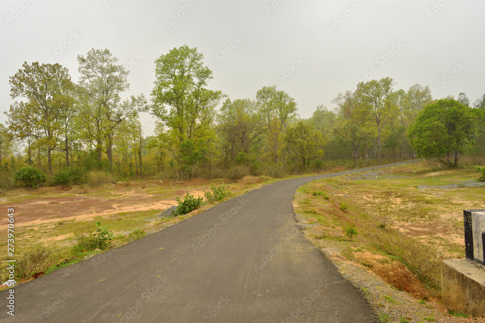 Winding gravel road through temperate forest at Jhargram, west bengal, India